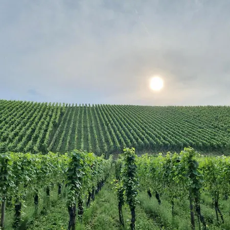 Sternenhimmel-aw Bad Neuenahr-Ahrweiler